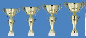 0057 Copa deporte estandar