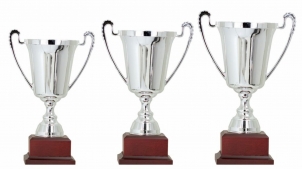 0162 Economic sport cup